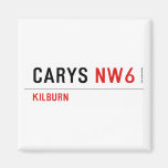 CARYS  Magnets (more shapes)