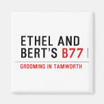 ETHeL and Bert’s  Magnets (more shapes)