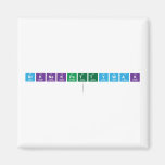 Niknakpattywak
   Magnets (more shapes)
