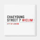 Chaeyoung Street 7  Magnets (more shapes)