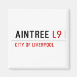 Aintree  Magnets (more shapes)