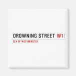 Drowning street  Magnets (more shapes)