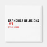 Grandiose Delusions   Magnets (more shapes)