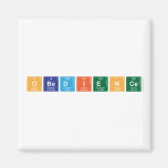 obedience  Magnets (more shapes)