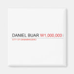DANIEL BUAR  Magnets (more shapes)