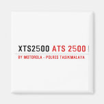 XTS2500  Magnets (more shapes)