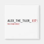 alex_the_tiler_  Magnets (more shapes)