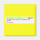 MAXSALTO MIGAL®™  Magnets (more shapes)