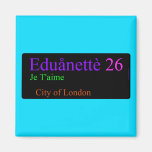 Eduånettè  Magnets (more shapes)