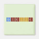 CAYDIID  Magnets (more shapes)