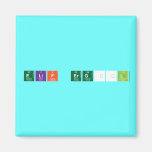 Elif ERGÜL   Magnets (more shapes)