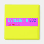 evrleigh r  Magnets (more shapes)