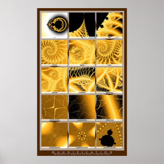 Magnification - Orange Poster