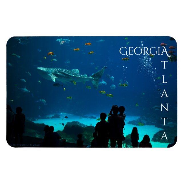 Magnificent Atlanta Georgia Magnet (Horizontal)