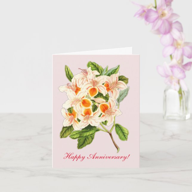 Magnificent azalea, Anniversary  Card (Orchid)