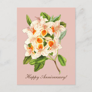 Magnificent azalea, Anniversary Postcard