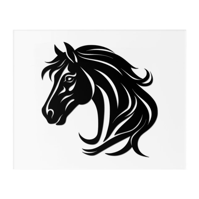 Magnificent Black Horse Head   Acrylic Print (Front)