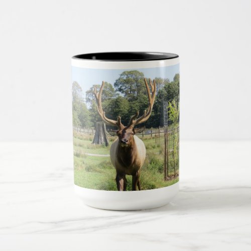 Magnificent Bull Elk Photo on 15oz combo mug