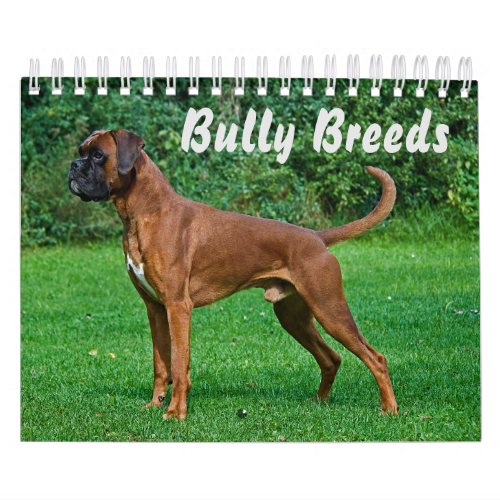 Magnificent Bully Breeds Calendar