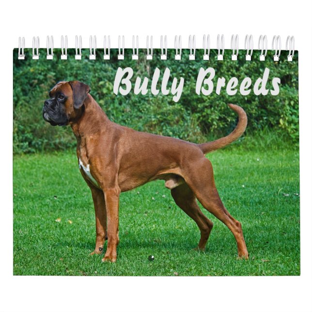 Magnificent Bully Breeds Calendar (Cover)