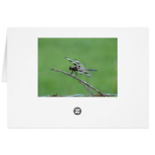 Magnificent Dragonfly Cards (Back Horizontal)