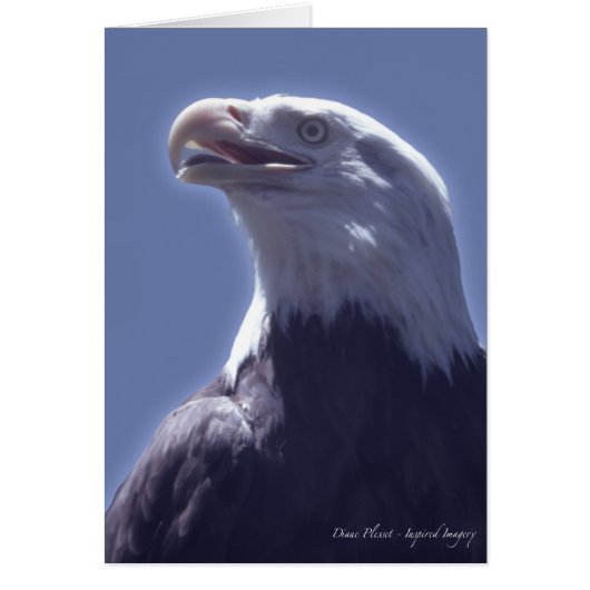 Magnificent Eagle Card (Front)