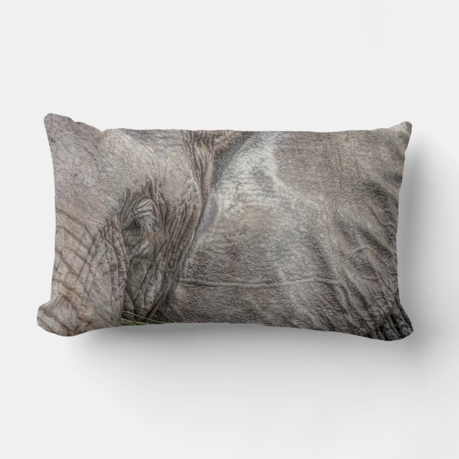 Magnificent Elephant Pillow (Front)