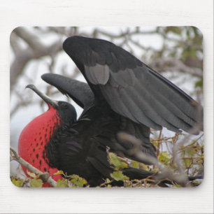 Magnificent Frigate Bird Mouse Pad