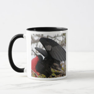 Magnificent Frigate Bird Mug