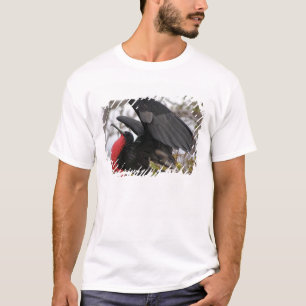 Magnificent Frigate Bird T-Shirt