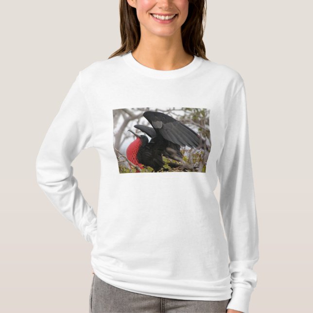 Magnificent Frigate Bird T-Shirt (Front)