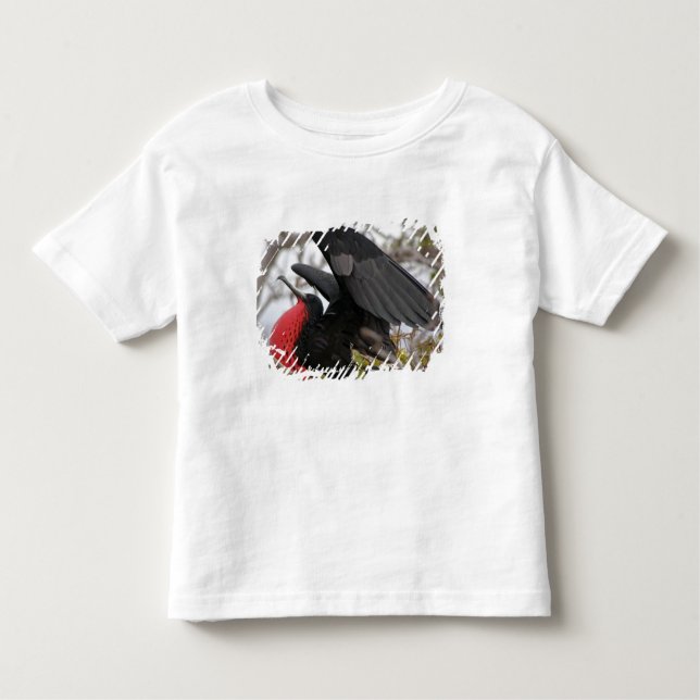 Magnificent Frigate Bird Toddler T-shirt (Front)