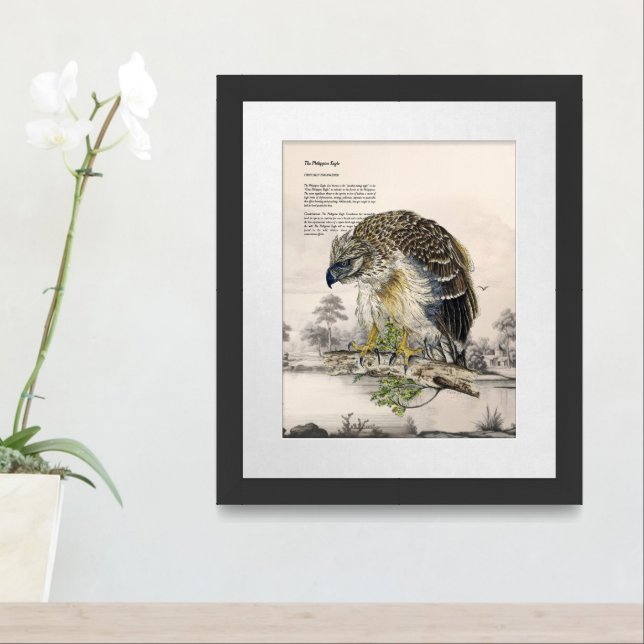  Magnificent Hand-Painted Philippine Eagle Framed Art (Entryway)