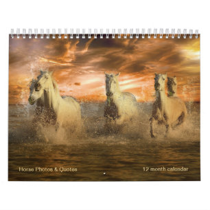 Magnificent Horses & Equine Quotes 12 month Calendar