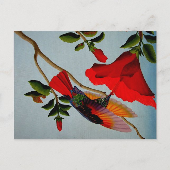 Magnificent Hummingbird Postcard (Front)
