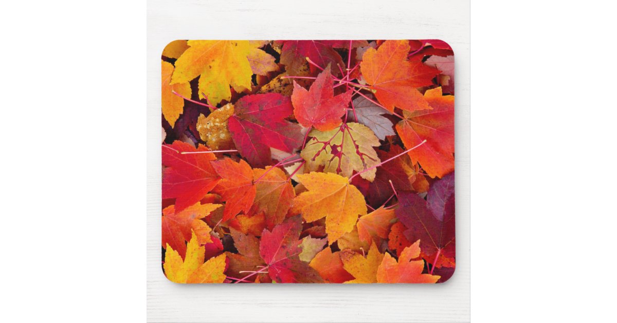 Magnificent Maple Leaves Mouse Pad | Zazzle