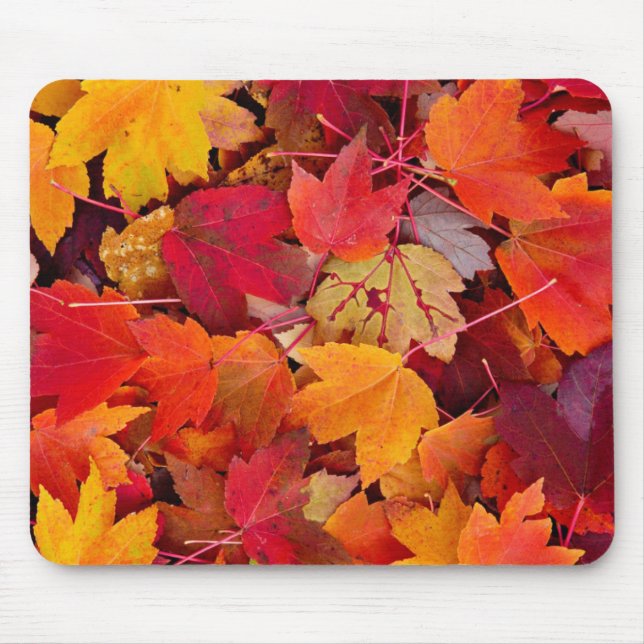 Magnificent Maple Leaves Mouse Pad (Front)