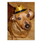 MAGNIFICENT MICKEY COWBOY (Front)