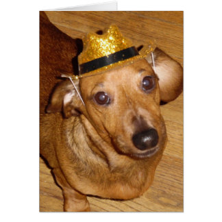 MAGNIFICENT MICKEY COWBOY