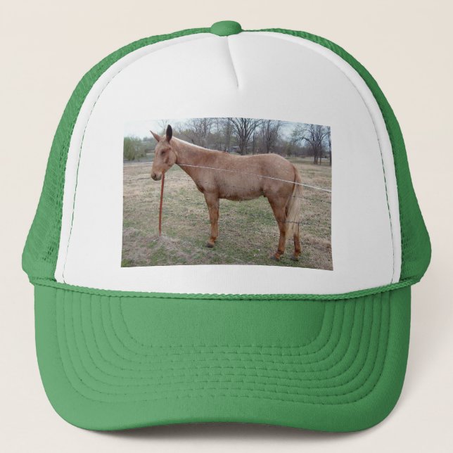 Magnificent Mule! Trucker Hat (Front)