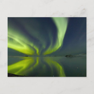 Magnificent Northern Lights Postcard
