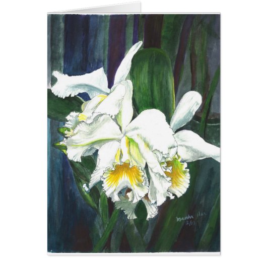 Magnificent orchids cards (Front)