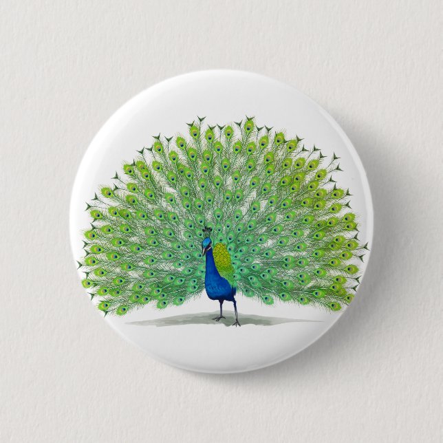 Magnificent Peacock Art Pinback Button (Front)