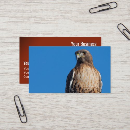 Magnificent Red_Tailed Hawk in the Sun Business Card