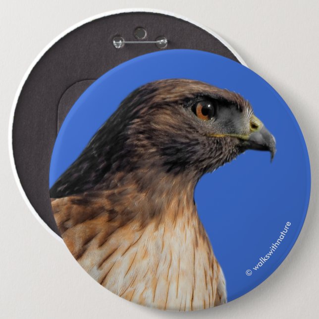 Magnificent Red-Tailed Hawk in the Sun Button (Front & Back)