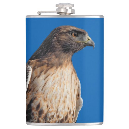 Magnificent Red_Tailed Hawk in the Sun Hip Flask