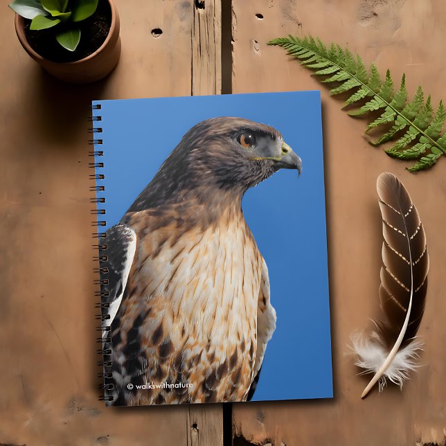 Magnificent Red-Tailed Hawk in the Sun Notebook (Magnificent Red-Tailed Hawk in the Sun Journal Cover Photo 2)