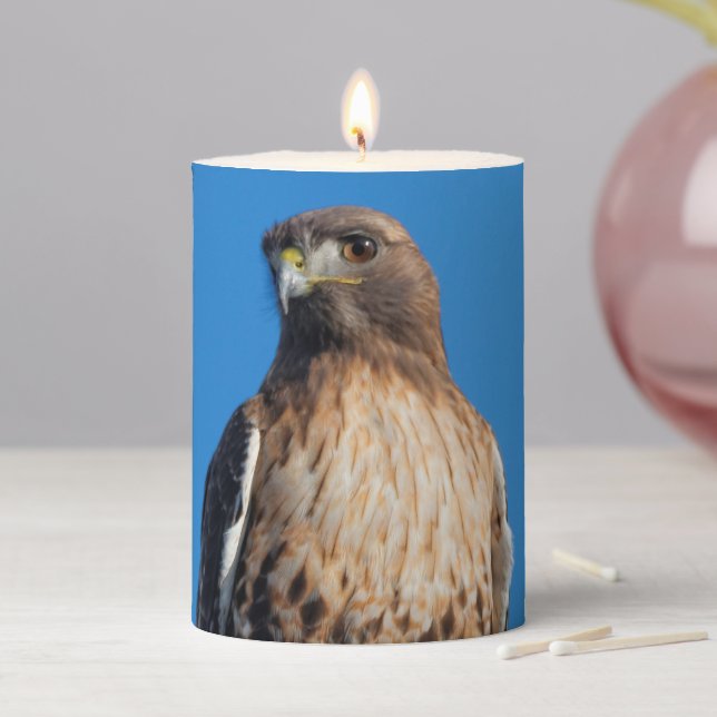 Magnificent Red-Tailed Hawk in the Sun Pillar Candle (In Situ)