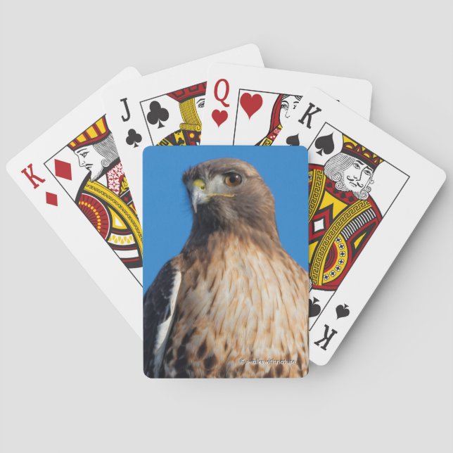 Magnificent Red-Tailed Hawk in the Sun Poker Cards (Back)
