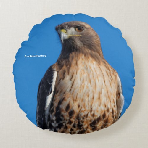 Magnificent Red_Tailed Hawk in the Sun Round Pillow